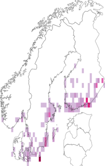 Fyndkarta för Ostrinia. Datakälla: GBIF