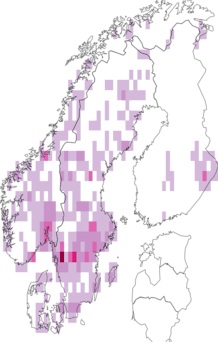 Fyndkarta för Lyophyllum. Datakälla: GBIF