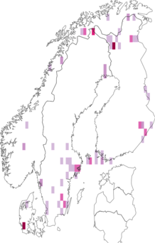 Fyndkarta för sotmalar. Datakälla: GBIF