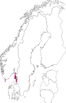 Fyndkarta för Myxillidae. Datakälla: GBIF