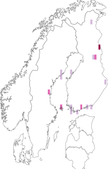 Fyndkarta för Chymomyza. Datakälla: GBIF