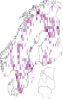 Kaarta Leskeaceae. Data source: GBIF