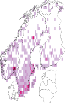 Fyndkarta för Sphaeridiinae. Datakälla: GBIF
