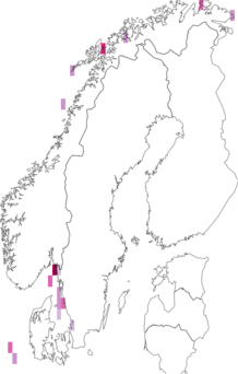 Fyndkarta för Campanularia. Datakälla: GBIF