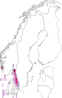 Fyndkarta för sjöpungar. Datakälla: GBIF