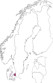 Fyndkarta för Hydrodictyaceae. Datakälla: GBIF