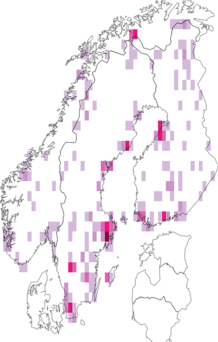 Fyndkarta för flickblomflugor. Datakälla: GBIF