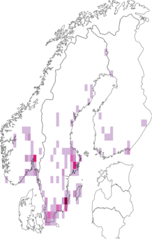 Fyndkarta för Astenus. Datakälla: GBIF