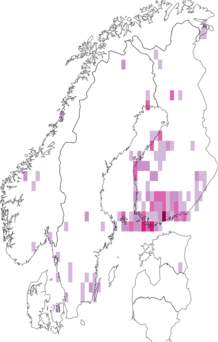 Kaarta Myrmecozelinae. Data source: GBIF