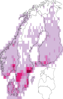 Fyndkarta för rosor. Datakälla: GBIF