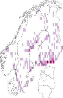 Fyndkarta för Lauxanioidea. Datakälla: GBIF