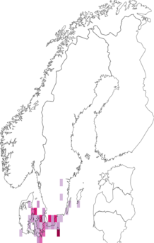 Fyndkarta för Eublemma. Datakälla: GBIF