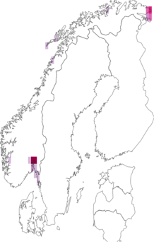 Fyndkarta för vitvalar. Datakälla: GBIF
