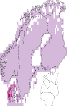 Fyndkarta för kråkbärssläktet. Datakälla: GBIF