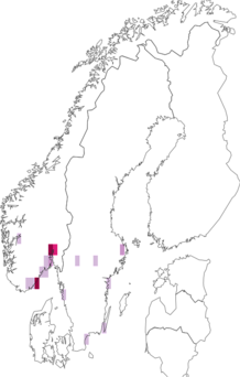 Fyndkarta för dvärgfotingar. Datakälla: GBIF