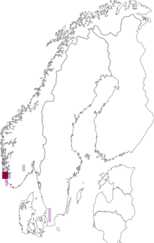 Fyndkarta för Saaristoa. Datakälla: GBIF