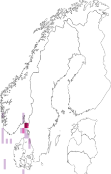 Kaarta Alpheoidea. Data source: GBIF