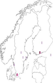 Fyndkarta för storkackerlackor. Datakälla: GBIF