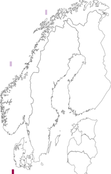 Fyndkarta för Pterosperma. Datakälla: GBIF