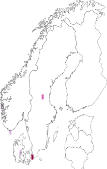 Fyndkarta för Montagnulaceae. Datakälla: GBIF