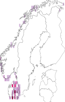 Fyndkarta för Palmariales. Datakälla: GBIF