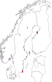 Fyndkarta för Zoothera. Datakälla: GBIF