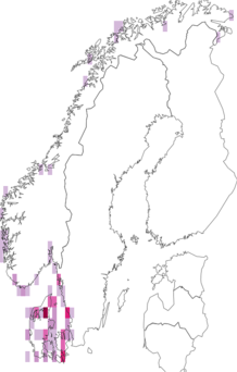Fyndkarta för Bangiophyceae. Datakälla: GBIF