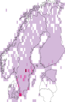Kaarta Acrocephalus. Data source: GBIF